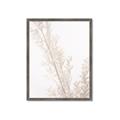 Picture of Earthy Flora Straws _GroupedProduct_Rectangle_Portrait_Photography _GroupedProduct_Rectangle_Portrait_Framed_Matted_