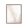Picture of Earthy Flora Straws _GroupedProduct_Rectangle_Portrait_Photography _GroupedProduct_Rectangle_Portrait_Framed_Matted_