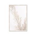 Picture of Earthy Flora Straws _GroupedProduct_Rectangle_Portrait_Photography _GroupedProduct_Rectangle_Portrait_Framed_Matted_