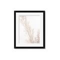 Picture of Earthy Flora Straws _GroupedProduct_Rectangle_Portrait_Photography _GroupedProduct_Rectangle_Portrait_Framed_Matted_