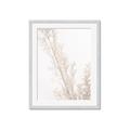 Picture of Earthy Flora Straws _GroupedProduct_Rectangle_Portrait_Photography _GroupedProduct_Rectangle_Portrait_Framed_Matted_