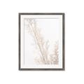 Picture of Earthy Flora Straws _GroupedProduct_Rectangle_Portrait_Photography _GroupedProduct_Rectangle_Portrait_Framed_Matted_
