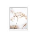 Picture of Desert Bloom Elegance _GroupedProduct_Rectangle_Portrait_Photography _GroupedProduct_Rectangle_Portrait_Framed_Matted_