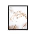 Picture of Desert Bloom Elegance _GroupedProduct_Rectangle_Portrait_Photography _GroupedProduct_Rectangle_Portrait_Framed_Matted_