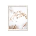 Picture of Desert Bloom Elegance _GroupedProduct_Rectangle_Portrait_Photography _GroupedProduct_Rectangle_Portrait_Framed_Matted_