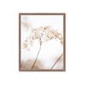 Picture of Desert Bloom Elegance _GroupedProduct_Rectangle_Portrait_Photography _GroupedProduct_Rectangle_Portrait_Framed_Matted_