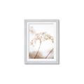 Picture of Desert Bloom Elegance _GroupedProduct_Rectangle_Portrait_Photography _GroupedProduct_Rectangle_Portrait_Framed_Matted_