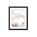 Picture of Desert Bloom Elegance _GroupedProduct_Rectangle_Portrait_Photography _GroupedProduct_Rectangle_Portrait_Framed_Matted_
