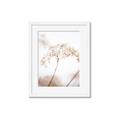 Picture of Desert Bloom Elegance _GroupedProduct_Rectangle_Portrait_Photography _GroupedProduct_Rectangle_Portrait_Framed_Matted_