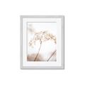 Picture of Desert Bloom Elegance _GroupedProduct_Rectangle_Portrait_Photography _GroupedProduct_Rectangle_Portrait_Framed_Matted_