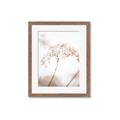 Picture of Desert Bloom Elegance _GroupedProduct_Rectangle_Portrait_Photography _GroupedProduct_Rectangle_Portrait_Framed_Matted_