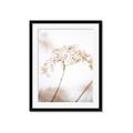 Picture of Desert Bloom Elegance _GroupedProduct_Rectangle_Portrait_Photography _GroupedProduct_Rectangle_Portrait_Framed_Matted_