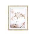 Picture of Desert Bloom Elegance _GroupedProduct_Rectangle_Portrait_Photography _GroupedProduct_Rectangle_Portrait_Framed_Matted_