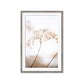Picture of Desert Bloom Elegance _GroupedProduct_Rectangle_Portrait_Photography _GroupedProduct_Rectangle_Portrait_Framed_Matted_