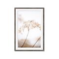 Picture of Desert Bloom Elegance _GroupedProduct_Rectangle_Portrait_Photography _GroupedProduct_Rectangle_Portrait_Framed_Matted_