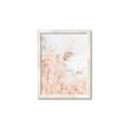 Picture of Neutral Bloom Reeds _GroupedProduct_Rectangle_Portrait_Photography _GroupedProduct_Rectangle_Portrait_Framed_Matted_