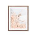 Picture of Neutral Bloom Reeds _GroupedProduct_Rectangle_Portrait_Photography _GroupedProduct_Rectangle_Portrait_Framed_Matted_