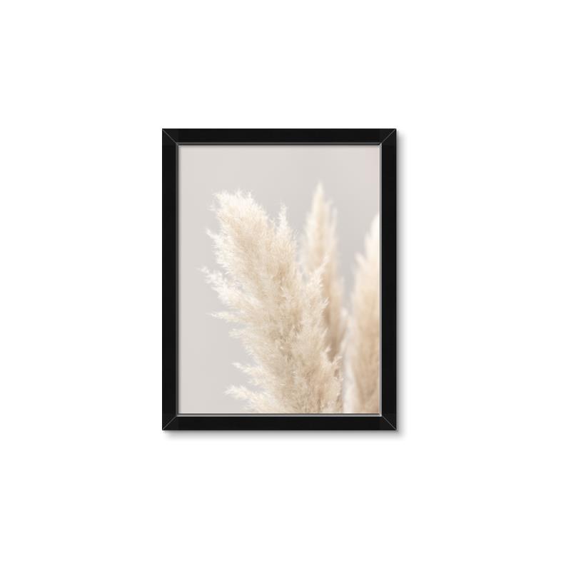 Picture of Creamy Petal Pampas I _GroupedProduct_Rectangle_Portrait_Photography _GroupedProduct_Rectangle_Portrait_Framed_Matted_