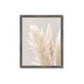 Picture of Creamy Petal Pampas I _GroupedProduct_Rectangle_Portrait_Photography _GroupedProduct_Rectangle_Portrait_Framed_Matted_