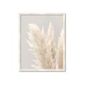 Picture of Creamy Petal Pampas I _GroupedProduct_Rectangle_Portrait_Photography _GroupedProduct_Rectangle_Portrait_Framed_Matted_