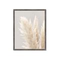 Picture of Creamy Petal Pampas I _GroupedProduct_Rectangle_Portrait_Photography _GroupedProduct_Rectangle_Portrait_Framed_Matted_