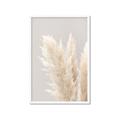 Picture of Creamy Petal Pampas I _GroupedProduct_Rectangle_Portrait_Photography _GroupedProduct_Rectangle_Portrait_Framed_Matted_