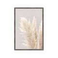 Picture of Creamy Petal Pampas I _GroupedProduct_Rectangle_Portrait_Photography _GroupedProduct_Rectangle_Portrait_Framed_Matted_