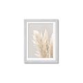 Picture of Creamy Petal Pampas I _GroupedProduct_Rectangle_Portrait_Photography _GroupedProduct_Rectangle_Portrait_Framed_Matted_