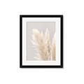 Picture of Creamy Petal Pampas I _GroupedProduct_Rectangle_Portrait_Photography _GroupedProduct_Rectangle_Portrait_Framed_Matted_