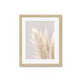 Picture of Creamy Petal Pampas I _GroupedProduct_Rectangle_Portrait_Photography _GroupedProduct_Rectangle_Portrait_Framed_Matted_