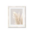 Picture of Creamy Petal Pampas I _GroupedProduct_Rectangle_Portrait_Photography _GroupedProduct_Rectangle_Portrait_Framed_Matted_