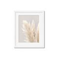 Picture of Creamy Petal Pampas I _GroupedProduct_Rectangle_Portrait_Photography _GroupedProduct_Rectangle_Portrait_Framed_Matted_
