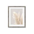 Picture of Creamy Petal Pampas I _GroupedProduct_Rectangle_Portrait_Photography _GroupedProduct_Rectangle_Portrait_Framed_Matted_