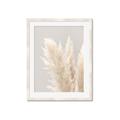 Picture of Creamy Petal Pampas I _GroupedProduct_Rectangle_Portrait_Photography _GroupedProduct_Rectangle_Portrait_Framed_Matted_