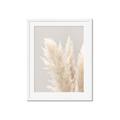 Picture of Creamy Petal Pampas I _GroupedProduct_Rectangle_Portrait_Photography _GroupedProduct_Rectangle_Portrait_Framed_Matted_