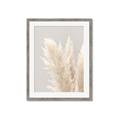 Picture of Creamy Petal Pampas I _GroupedProduct_Rectangle_Portrait_Photography _GroupedProduct_Rectangle_Portrait_Framed_Matted_