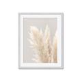 Picture of Creamy Petal Pampas I _GroupedProduct_Rectangle_Portrait_Photography _GroupedProduct_Rectangle_Portrait_Framed_Matted_