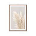 Picture of Creamy Petal Pampas I _GroupedProduct_Rectangle_Portrait_Photography _GroupedProduct_Rectangle_Portrait_Framed_Matted_