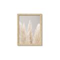 Picture of Creamy Petal Pampas II _GroupedProduct_Rectangle_Portrait_Photography _GroupedProduct_Rectangle_Portrait_Framed_Matted_