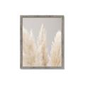 Picture of Creamy Petal Pampas II _GroupedProduct_Rectangle_Portrait_Photography _GroupedProduct_Rectangle_Portrait_Framed_Matted_