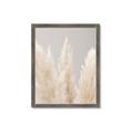 Picture of Creamy Petal Pampas II _GroupedProduct_Rectangle_Portrait_Photography _GroupedProduct_Rectangle_Portrait_Framed_Matted_