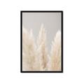 Picture of Creamy Petal Pampas II _GroupedProduct_Rectangle_Portrait_Photography _GroupedProduct_Rectangle_Portrait_Framed_Matted_