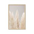 Picture of Creamy Petal Pampas II _GroupedProduct_Rectangle_Portrait_Photography _GroupedProduct_Rectangle_Portrait_Framed_Matted_