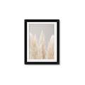 Picture of Creamy Petal Pampas II _GroupedProduct_Rectangle_Portrait_Photography _GroupedProduct_Rectangle_Portrait_Framed_Matted_