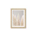 Picture of Creamy Petal Pampas II _GroupedProduct_Rectangle_Portrait_Photography _GroupedProduct_Rectangle_Portrait_Framed_Matted_