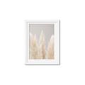 Picture of Creamy Petal Pampas II _GroupedProduct_Rectangle_Portrait_Photography _GroupedProduct_Rectangle_Portrait_Framed_Matted_