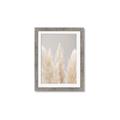 Picture of Creamy Petal Pampas II _GroupedProduct_Rectangle_Portrait_Photography _GroupedProduct_Rectangle_Portrait_Framed_Matted_