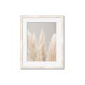 Picture of Creamy Petal Pampas II _GroupedProduct_Rectangle_Portrait_Photography _GroupedProduct_Rectangle_Portrait_Framed_Matted_