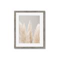 Picture of Creamy Petal Pampas II _GroupedProduct_Rectangle_Portrait_Photography _GroupedProduct_Rectangle_Portrait_Framed_Matted_
