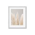 Picture of Creamy Petal Pampas II _GroupedProduct_Rectangle_Portrait_Photography _GroupedProduct_Rectangle_Portrait_Framed_Matted_